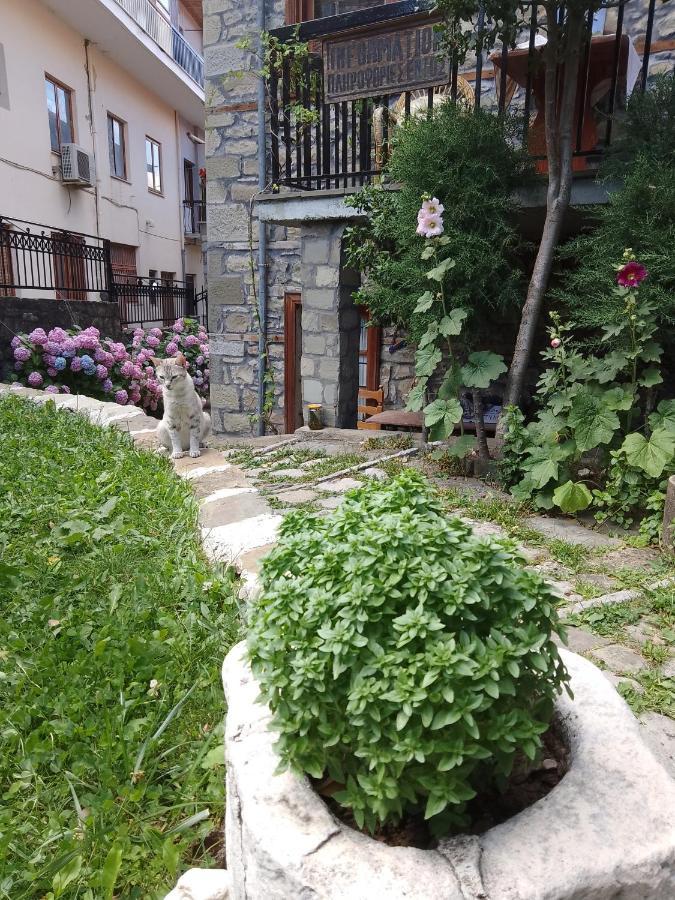 Arka Metsovo Hotel Exterior photo
