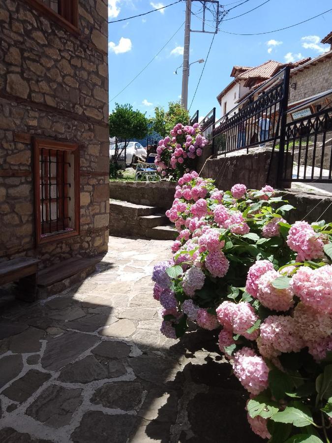 Arka Metsovo Hotel Exterior photo