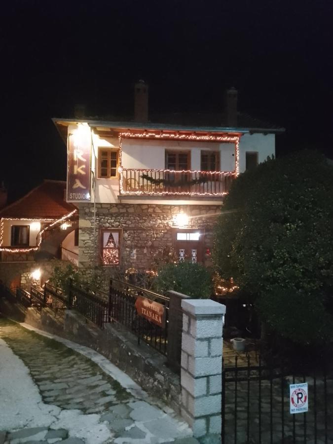 Arka Metsovo Hotel Exterior photo